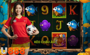Kèo châu âu